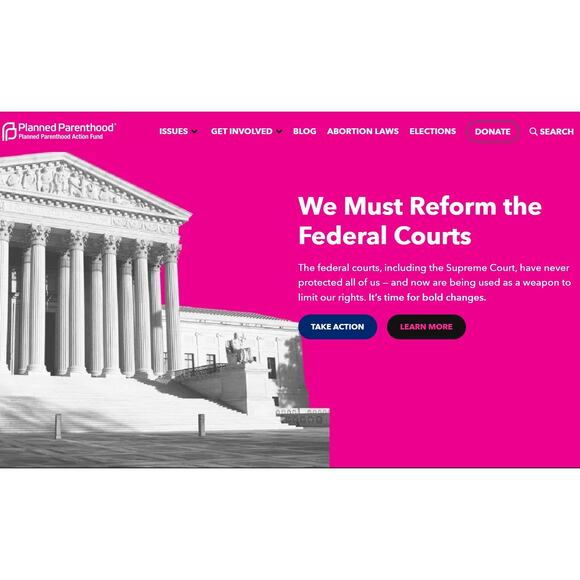 ALL OFFERS ACCEPTED: Donation to Planned Parenthood Action Fund / Pink PussyHat - Picture 11 of 16